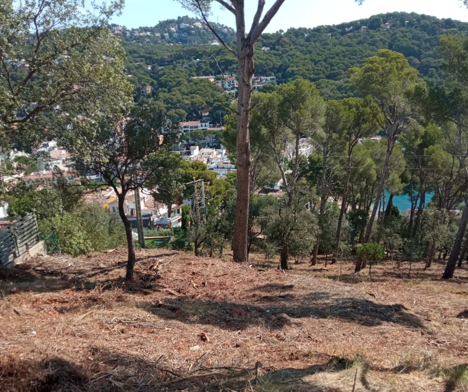 Palafrugell reforça la prevenció d’incendis amb actuacions als nuclis habitats i a les parcel·les