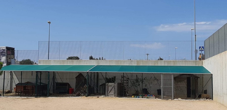 Escola Pi Verd nou tendall