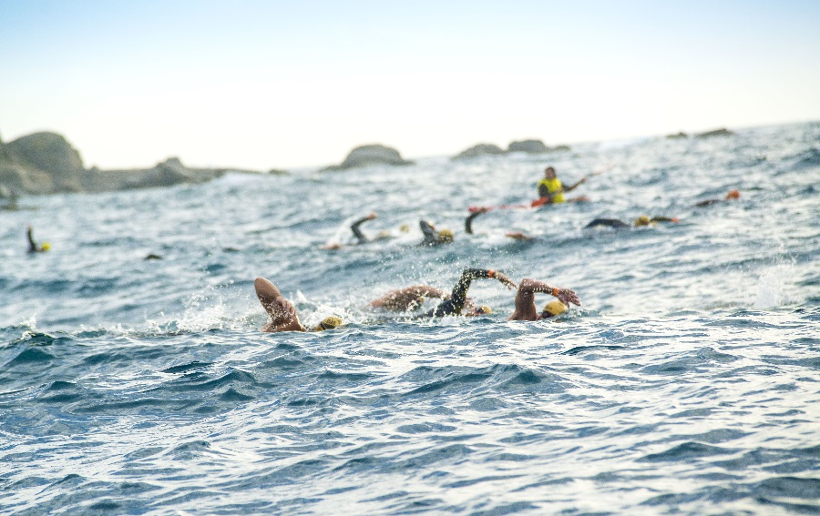 radikal-swim-octubre-2014