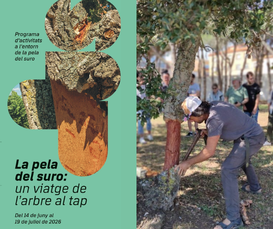 L’activitat 