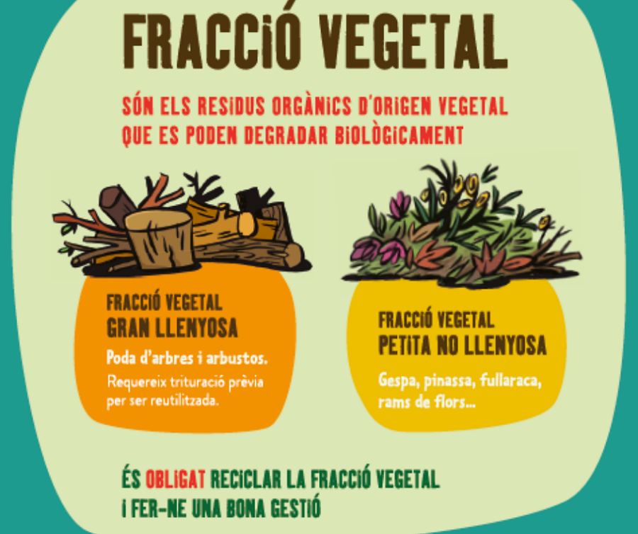 1FV