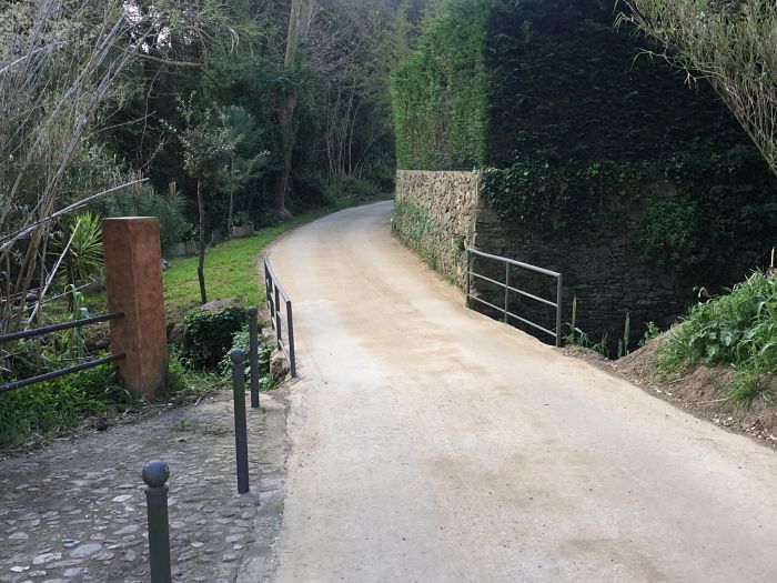 Camí Roma web
