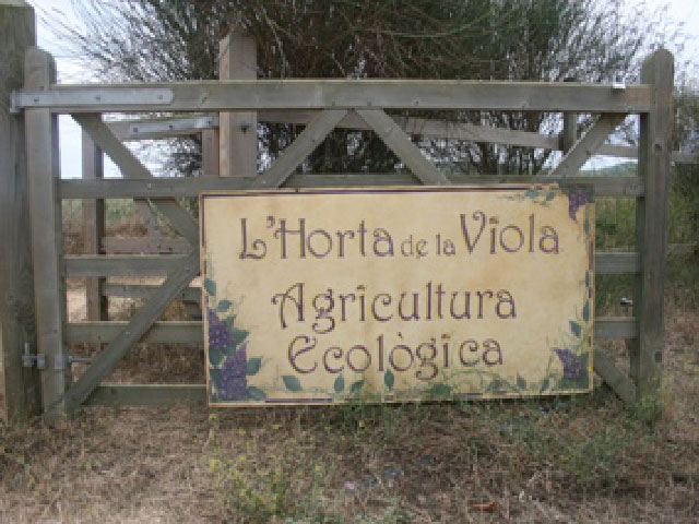 Imatge-horta-de-la-viola