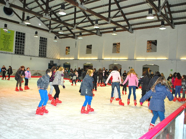 pista-de-gel-2011