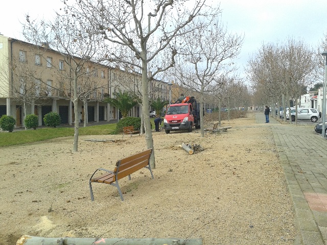 tala-arbres