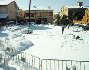Imatge de la nevada. web--icio--nevada