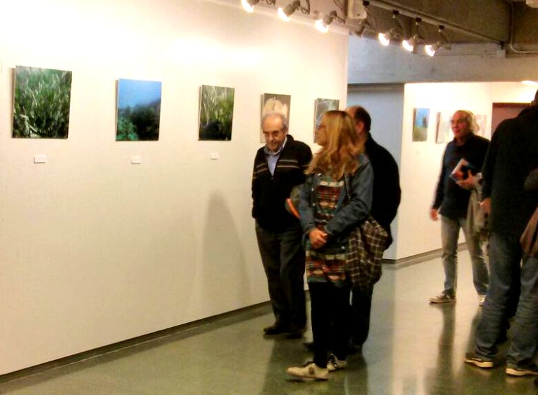 Xerrada i exposició sobre la Posidònia a Calella de Palafrugell