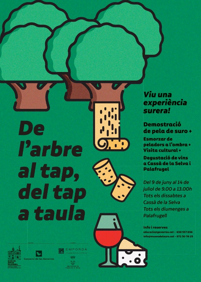 Arbre Tap Museu Suro.jpg