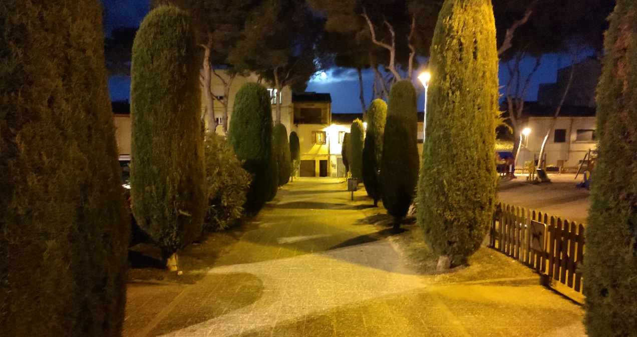 Millora il·luminació camp d’en Prats, àrea Serveis Municipals, Palafrugell