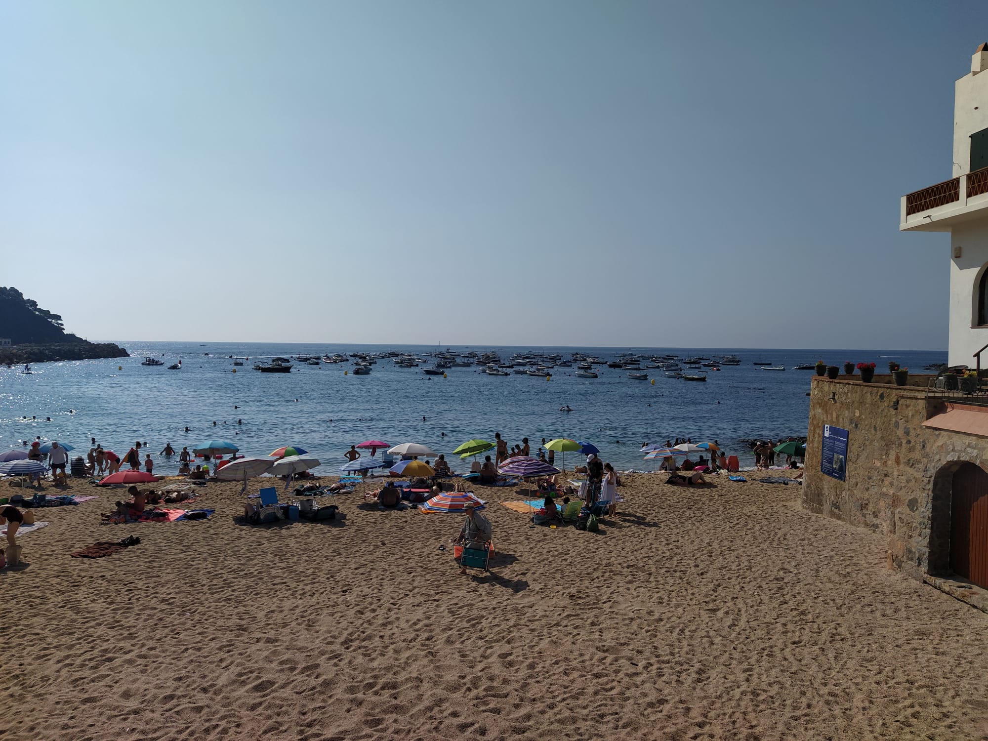 L’Ajuntament de Palafrugell estudiarà gestionar directament els camps de boies per a embarcacions de lleure de cara al futur