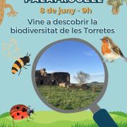 Cartell