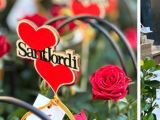 Parades de Sant Jordi