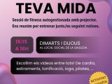 Cartell de l'activitat