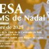 Encesa de llums de Nadal
