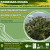 La flora invasora i el projecte Life medCLIFFS